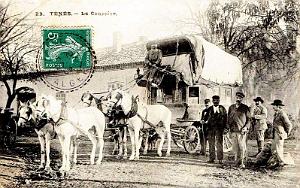 TENES - LE COURRIER - 1909